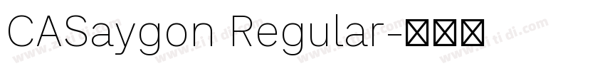 CASaygon Regular字体转换